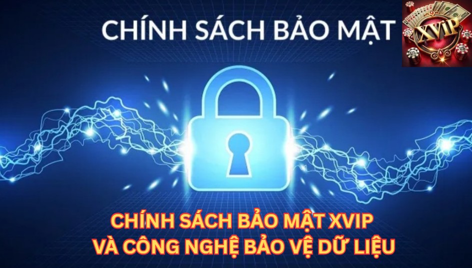 Chính sách bảo mật Xvip và công nghệ bảo vệ dữ liệu